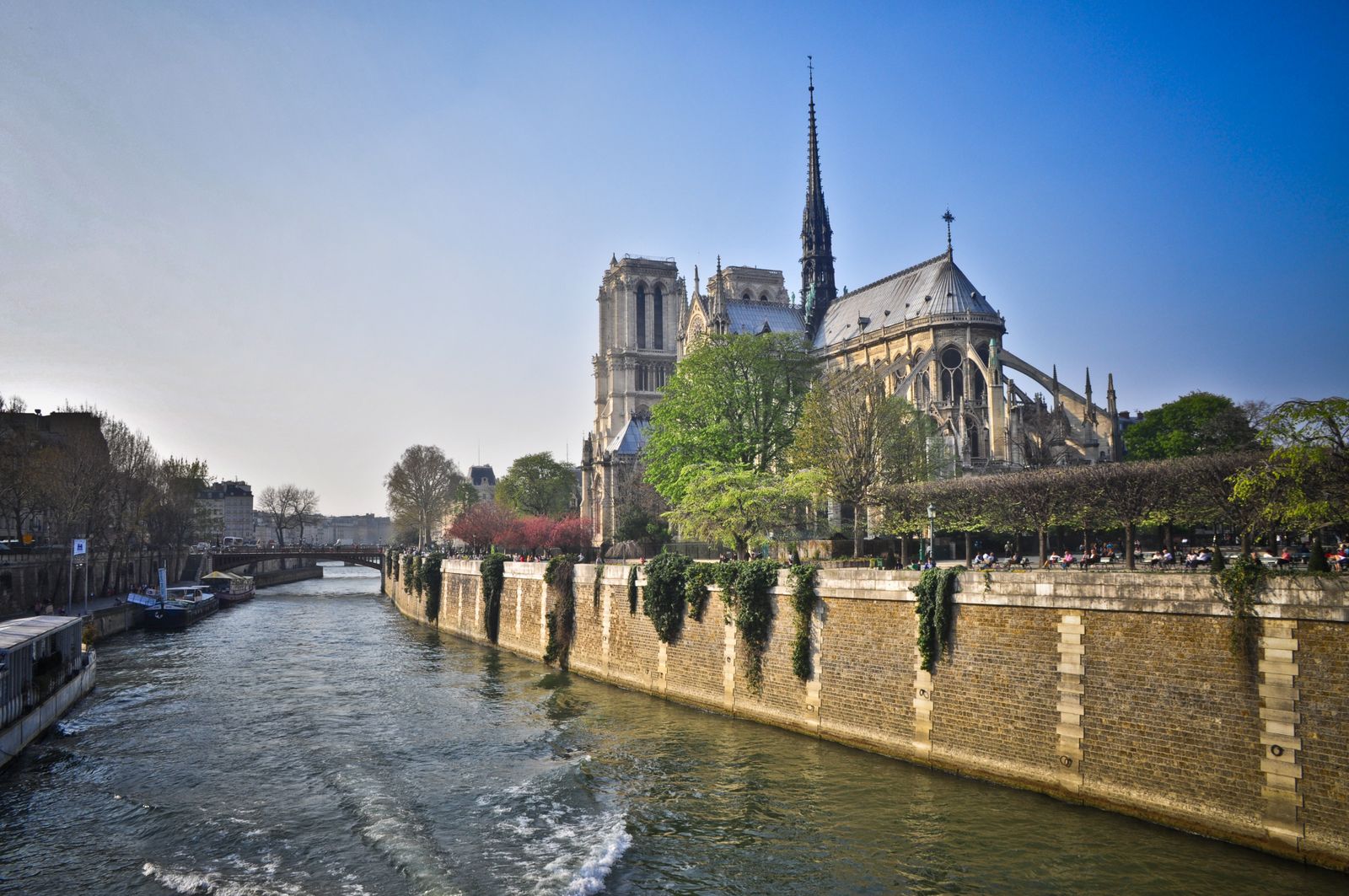 Notre-Dame de Paris seen from across the Seine at dusk