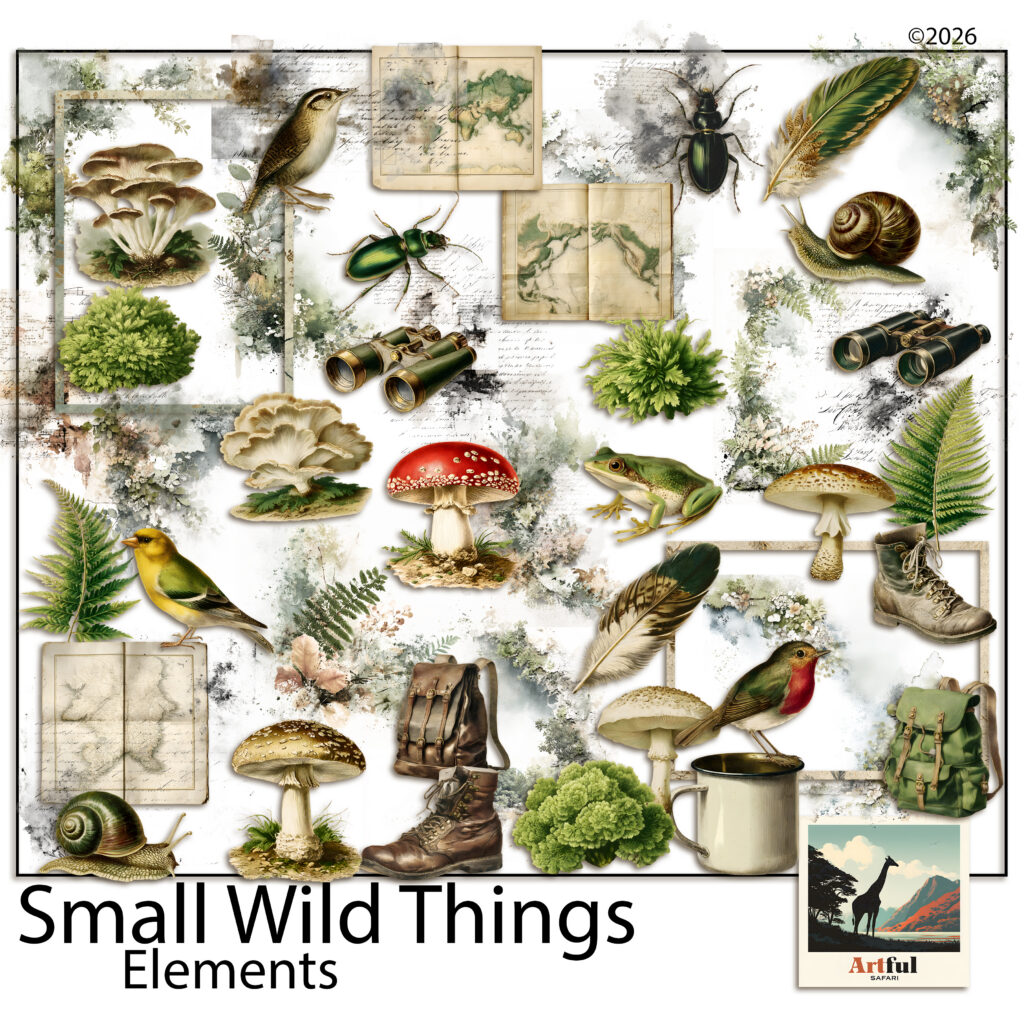 Mushroom Clipart — Small Wild Things Digital Scrapbook Elements — Beetles, Ferns & Hiking Gear PNG