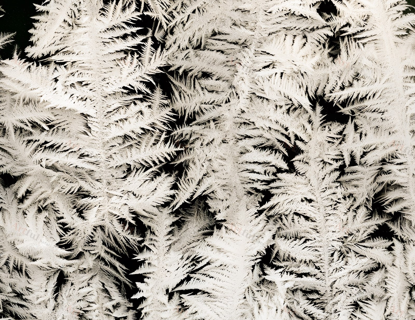 White ice ferns on black — included in Christmas Junk Journal - Gothmas Junk Journal Papers 1, 30 Printable 11x8.5 Pages