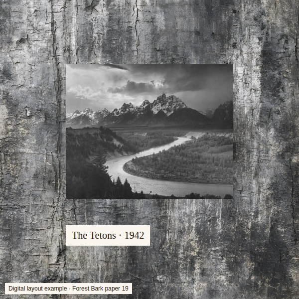 Black-and-white mountain photo on grey bark paper, with no border around the photo.