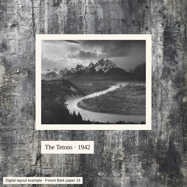 The same photo on grey bark paper 19, now with a plain cream border on all four sides.