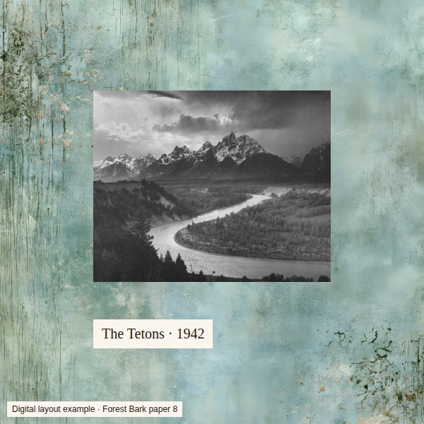 The same mountain photo on pale blue-green Forest Bark paper 8, without a border.